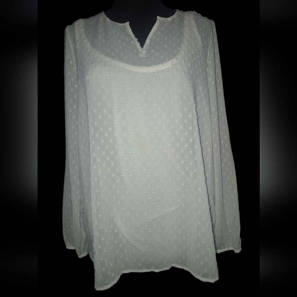 Ruff Hewn Long Sleeved Sheer White Swiss Dot Notch Neck Top - Size Medium